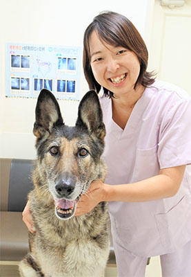 秋山(あきやま)愛犬キアラちゃん