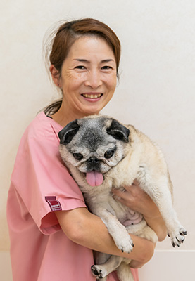 六川（ろくかわ）愛犬うたこちゃん