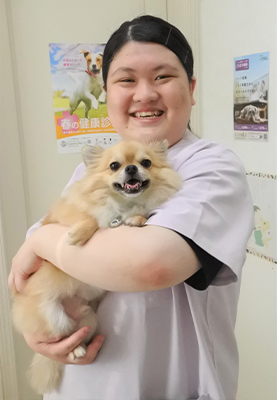 田中(たなか)